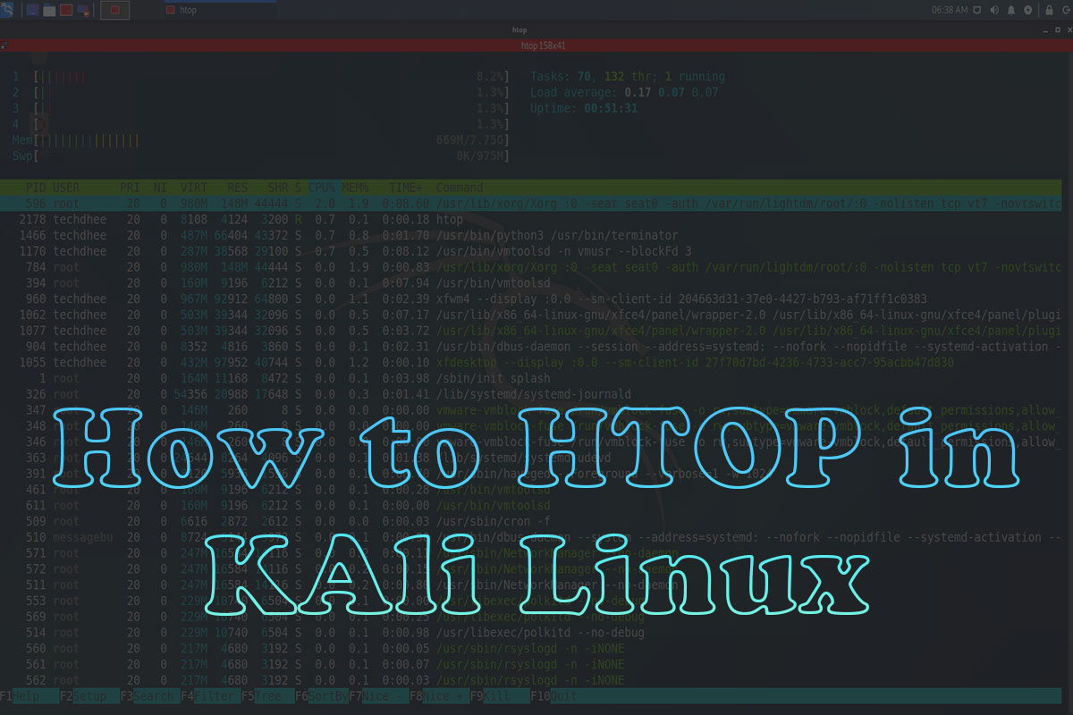 How To Install Htop on Linux | An Interactive Process Viewer