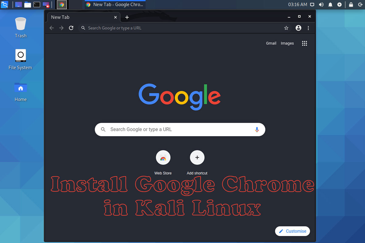 install google chrome kali linux