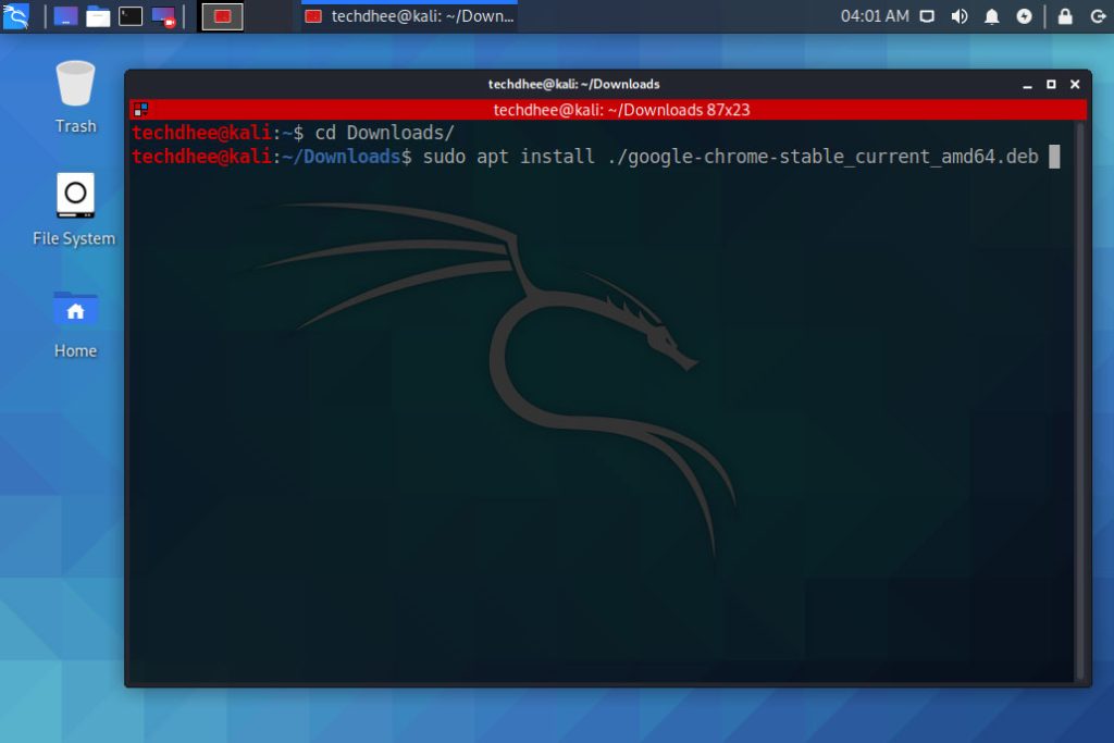 Basic Kali Linux Chrome Installation