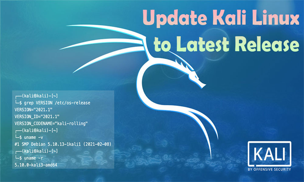 How to Update Kali Linux | Kali Linux 2023.3
